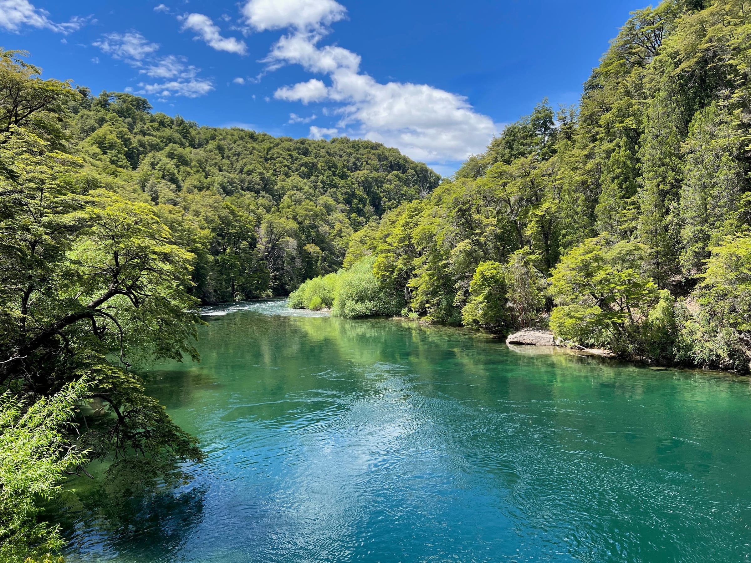 Crystal-clear river flowing through lush forest in Bariloche, Argentina